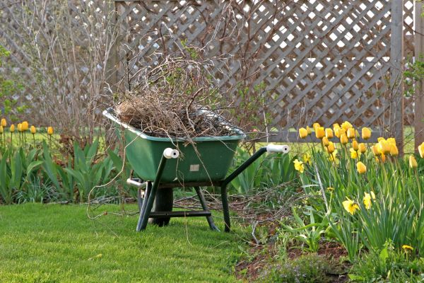 Flower Bed Cleanup Service in Yorba Linda
