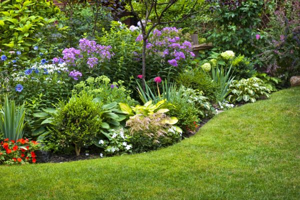 Flower Bed Service in Yorba Linda