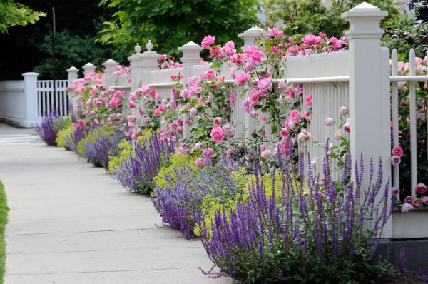 Garden Handyman Service in Yorba Linda