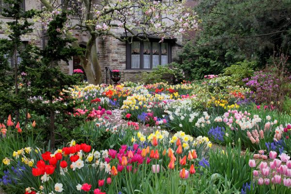 Garden Maintenance Service in Yorba Linda