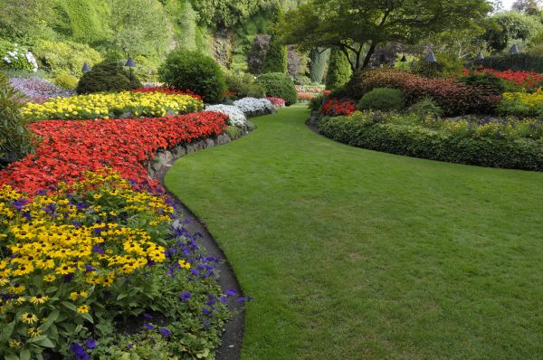 Landscaping Maintenance in Yorba Linda