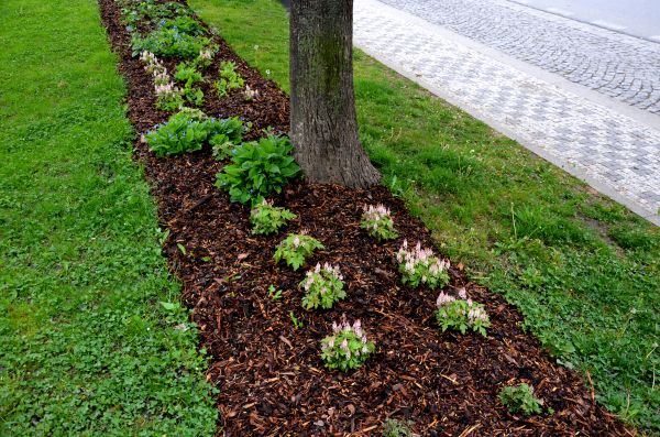 Mulch Replacement Service in Yorba Linda