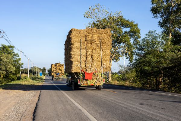 Pine Straw Delivery in Yorba Linda