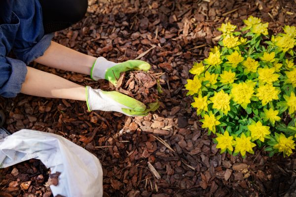 Garden Mulching in Yorba Linda