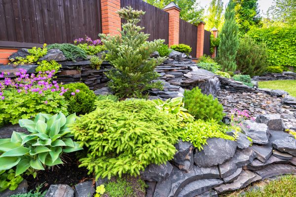 Landscape Remodeling in Yorba Linda