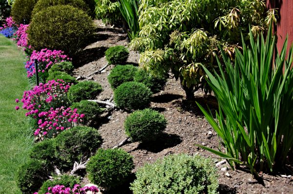 Residential Gardening in Yorba Linda
