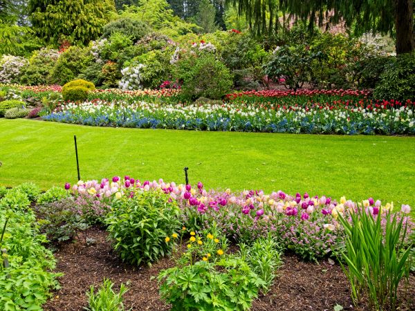 Residential Landscape Design in Yorba Linda