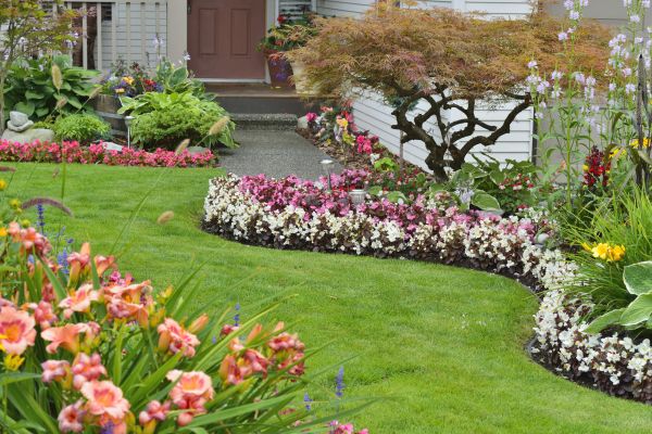 Perennial Landscaping in Yorba Linda