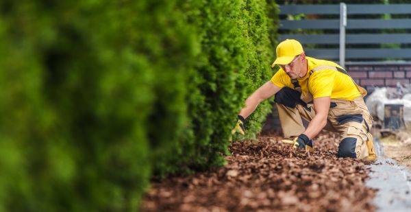 Cypress Mulch Installation in Yorba Linda