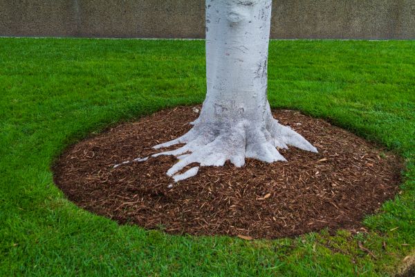 Brown Mulch Installation in Yorba Linda