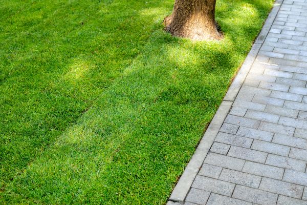 Border Stone Installation in Yorba Linda