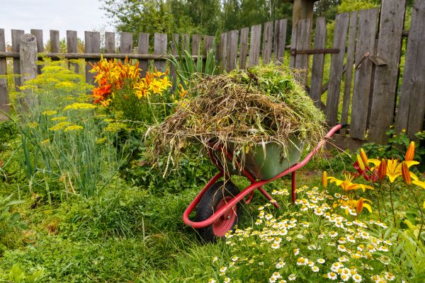 Garden Cleanup Service in Yorba Linda