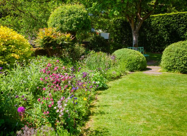 Yard Landscaping Service in Yorba Linda