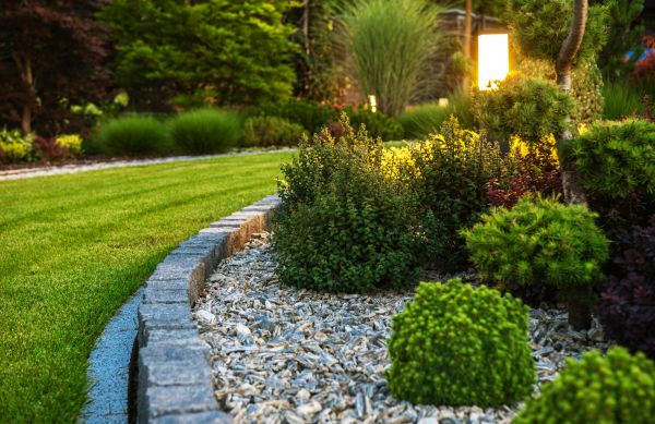 Landscaping Service in Yorba Linda