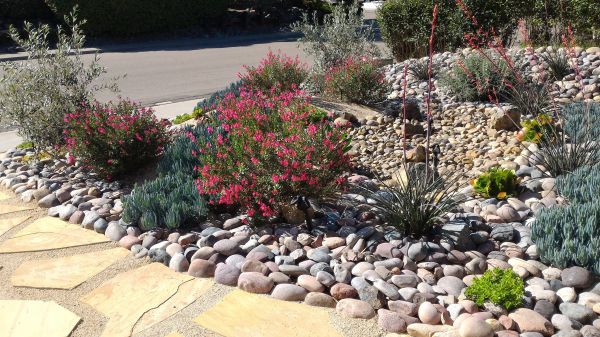 Xeriscape Landscaping in Yorba Linda