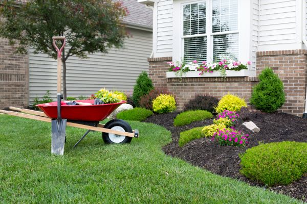 Tree And Shrub Planting in Yorba Linda