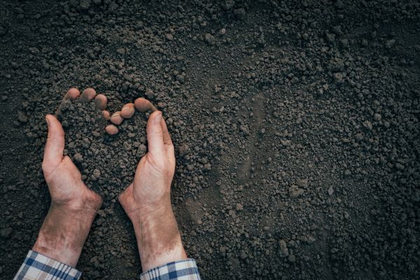 Soil Installation in Yorba Linda