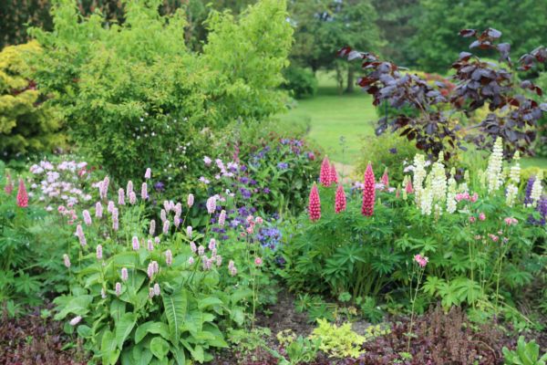 Flower Bed Planting in Yorba Linda
