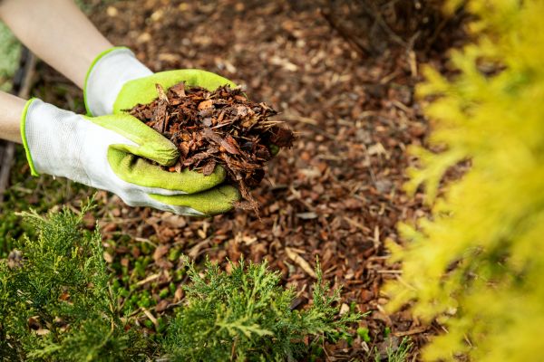 Garden Mulch Delivery in Yorba Linda