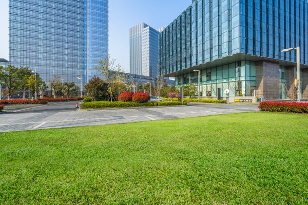 Industrial Landscaping Service in Yorba Linda