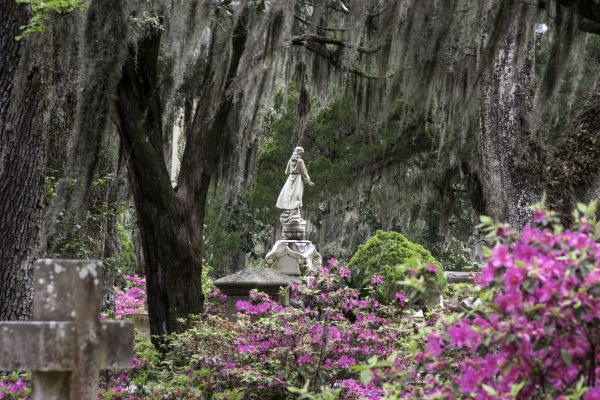 Cemetery Landscaping in Yorba Linda