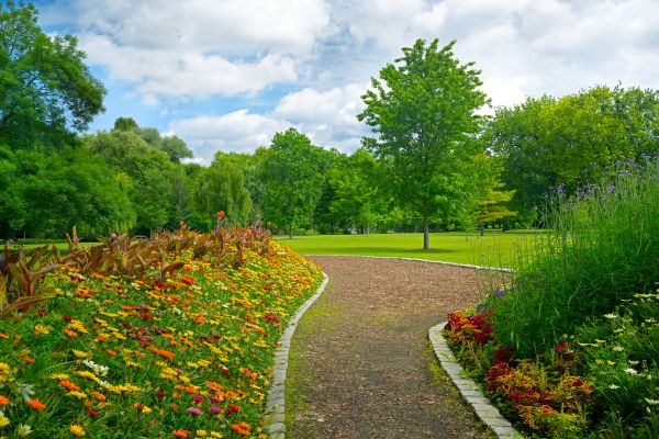 Park Landscaping in Yorba Linda