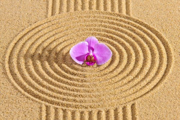 Sand Garden Landscaping in Yorba Linda