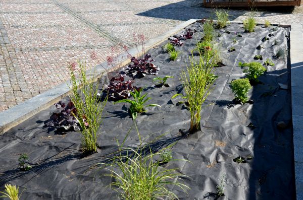 Landscape Fabric Installation in Yorba Linda