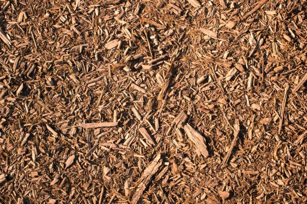 Wood Chips Removal in Yorba Linda