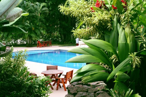 Pool Area Landscaping in Yorba Linda