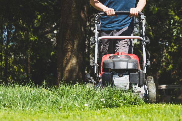 Garden Trimming Service in Yorba Linda