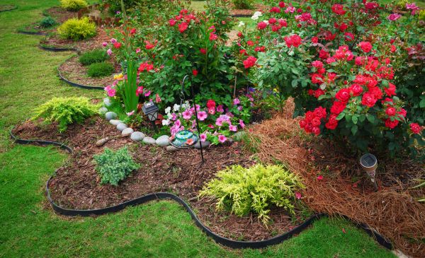 Floral Landscaping in Yorba Linda