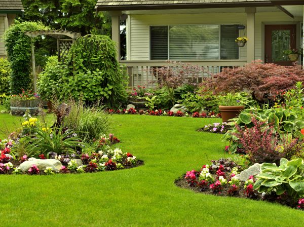 Flower Garden Planting in Yorba Linda