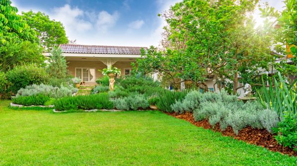 Greenery Planting in Yorba Linda