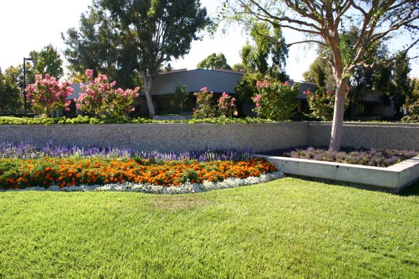 Commercial Landscape Service in Yorba Linda