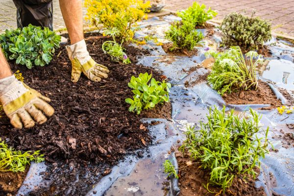 Mulch Fabric Installation in Yorba Linda