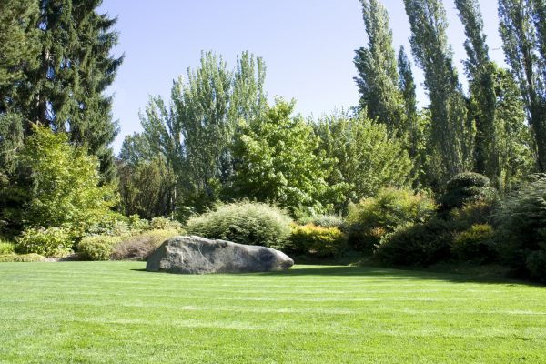 Yard Enlargement in Yorba Linda