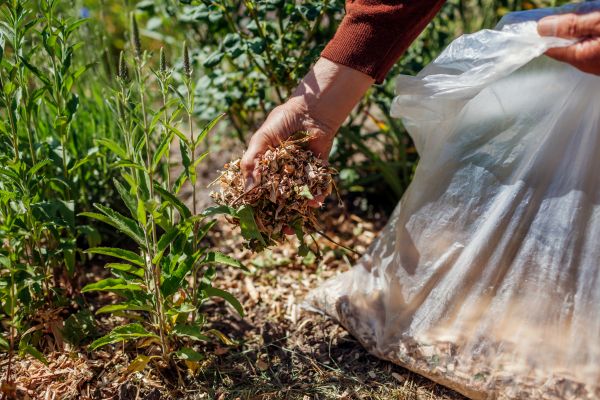 Wood Mulch Installation in Yorba Linda