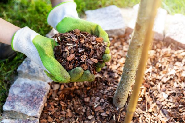 Tree Bark Delivery in Yorba Linda