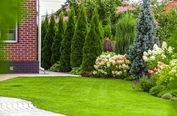 Spring Landscaping in Yorba Linda