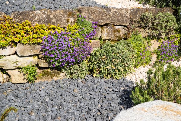 Landscaping Rocks Installation in Yorba Linda