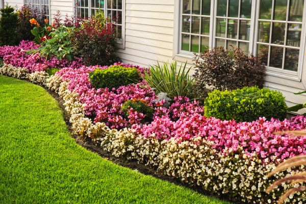 Garden Landscape Design in Yorba Linda