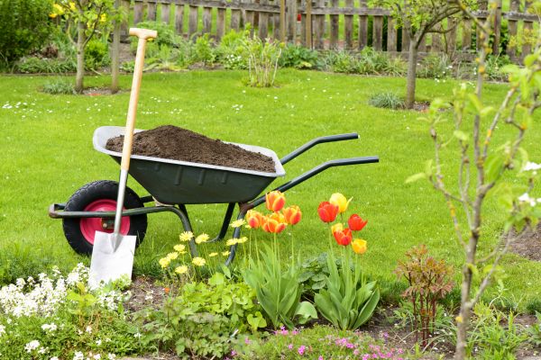 Spring Yard Renovation in Yorba Linda