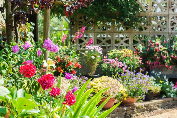 Spring Garden Maintenance in Yorba Linda