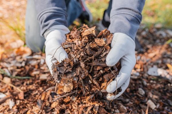 Shredded Mulch Installation in Yorba Linda