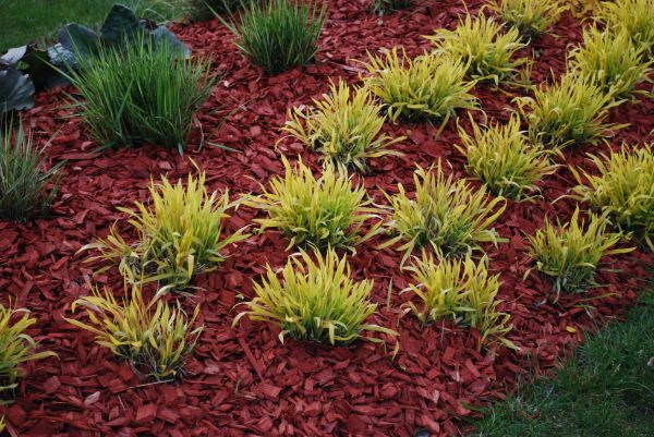Red Mulch Installation in Yorba Linda
