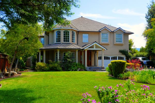 Large Yard Landscaping in Yorba Linda