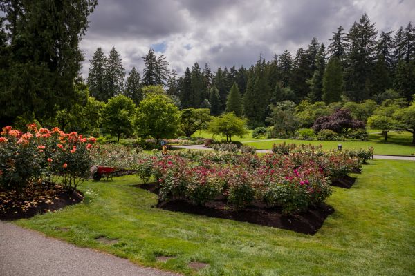 Flower Garden Landscaping in Yorba Linda