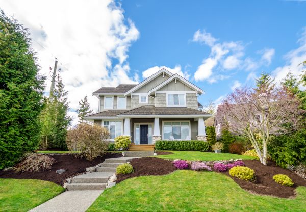 Landscaping Replacement in Yorba Linda