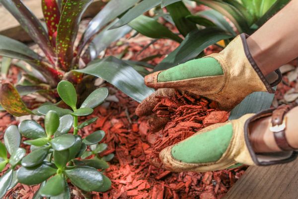 Residential Mulching in Yorba Linda